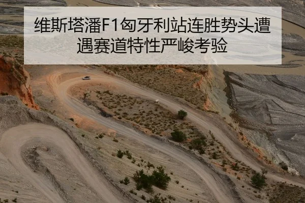 维斯塔潘F1匈牙利站连胜势头遭遇赛道特性严峻考验