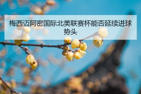 mei-xi-mai-a-mi-guo-ji-bei-mei-lian-sai-bei-neng-fou-yan-xu-jin-qiu-shi-tou-2-995.jpg