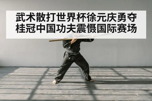 武术散打世界杯徐元庆勇夺桂冠中国功夫震慑国际赛场