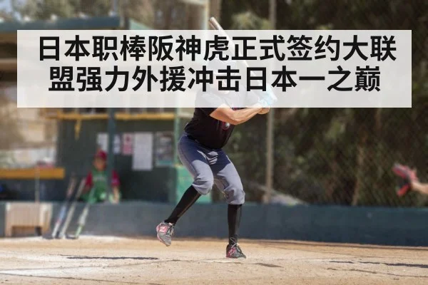 日本职棒阪神虎正式签约大联盟强力外援冲击日本一之巅